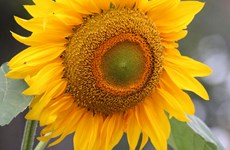 Afbeelding 1 van Zomersluiting balie 5 t/m 14 augustus 2024